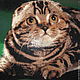 Order Picture "Cat (Scottish Fold)", diamond mosaic. Gifts, Souvenirs. The goods for ani (cat-fold). Livemaster. . Pictures Фото №3