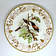 Painted porcelain. Plate 'Birds of England'. Plates. Frida Gots. My Livemaster. Фото №4