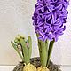 Hyacinth from Tamarana. Composition. Flourish (kalinowa2010). Online shopping on My Livemaster.  Фото №2