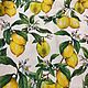 Ткань для штор LEMONS, Шторы, Москва,  Фото №1