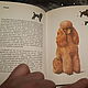 Винтаж: Карманный атлас собак 1977 г. ГДР. Книги винтажные. старый город (moi-vintag). Ярмарка Мастеров.  Фото №10