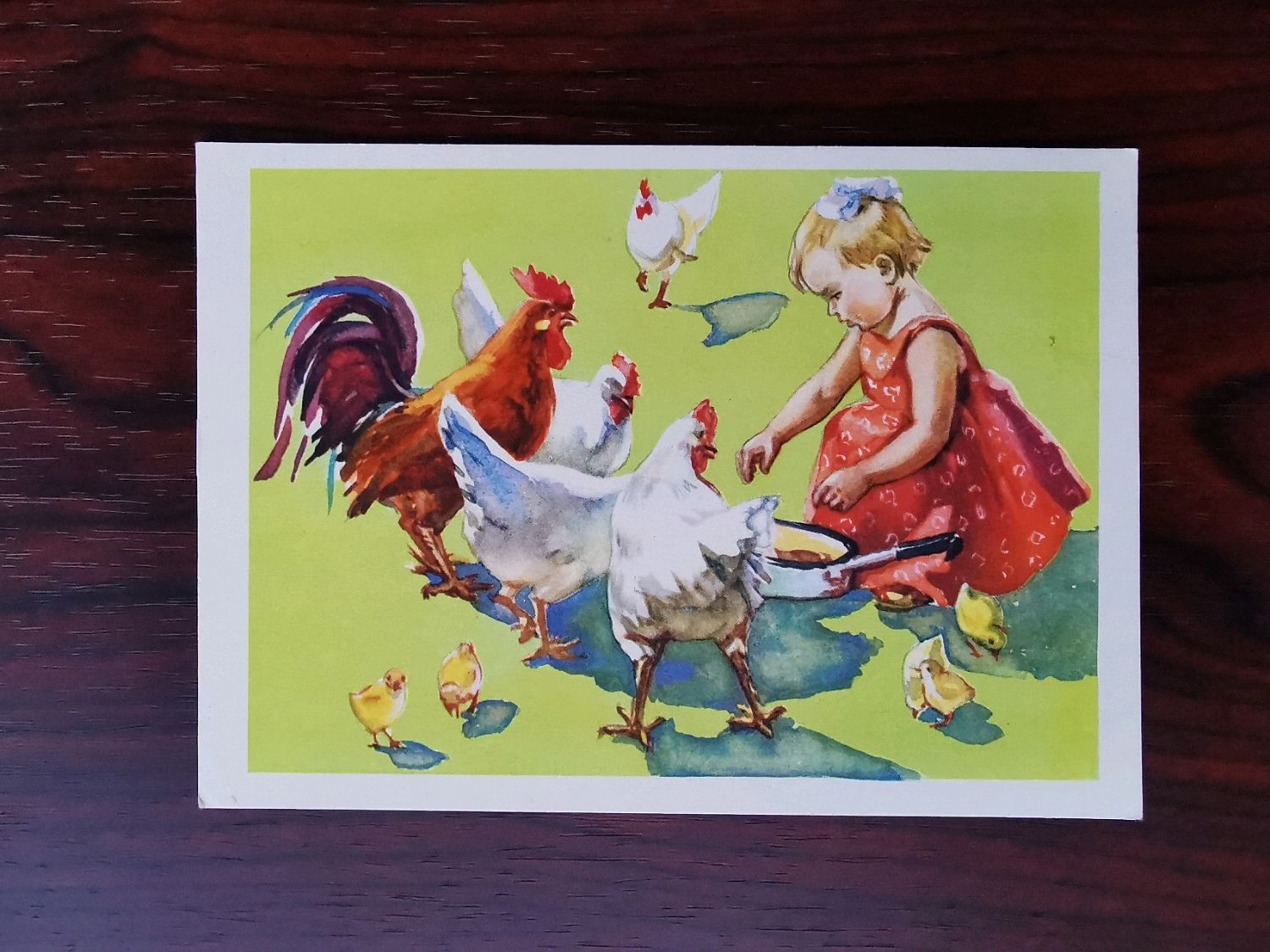 Картина дети кормят курицу и цыплят. Курица с цыплятами для детей. Девочка кормит цыплят. Сюжетная картина дети кормят курицу и цыплят. Картинки цветные для детей профессия птичницы.