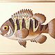 Order  PERCH is a SEA gift to a fisherman. sand-art. Livemaster. . Panels Фото №3