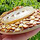 Магнит-украшение из ракушек и перламутра Ракушка. Магниты. Декоринка (decorinka). Ярмарка Мастеров.  Фото №10