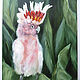 Розовый какаду Картина маслом 30 х 40 см птицы Австралия попугай. Картины. Викторианка. Интернет-магазин Ярмарка Мастеров.  Фото №2