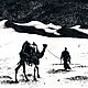  Путь в песках / Path in the Sands, Картины, Новосибирск,  Фото №1