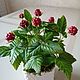 Composition 'Caramel'. Plants. decoreka. Online shopping on My Livemaster.  Фото №2