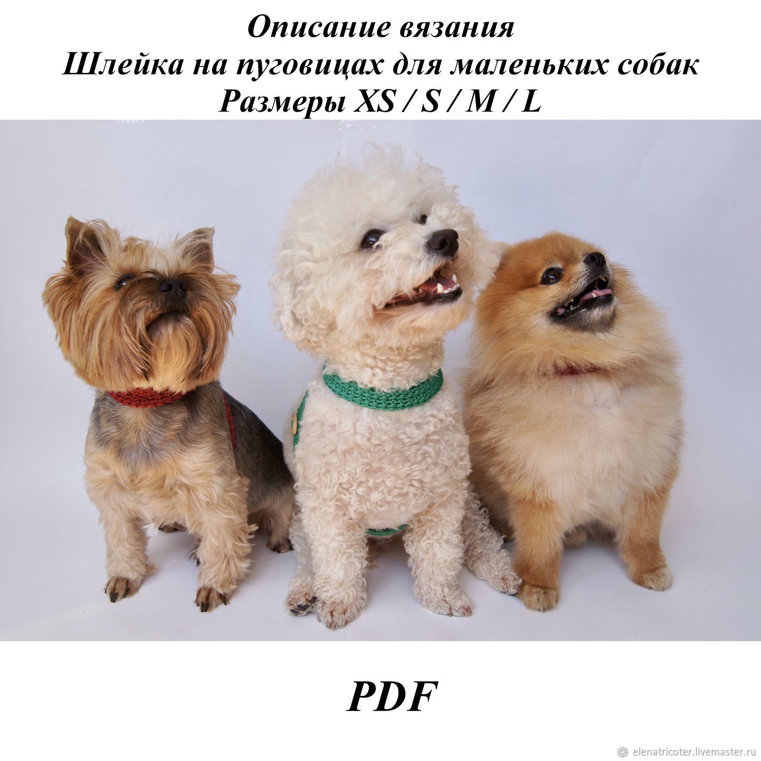 Правила вязания одежды спицами для собак мелких пород
