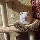Комплекс-когтеточка для кошек "Саша". Когтеточки. Наталья Видлога. Ярмарка Мастеров.  Фото №5