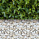 Виниловый фотофон "Стена из плюща, белые камни", 50х100 см, Фото, Новосибирск,  Фото №1
