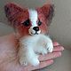 Dog Papillon knitted puppy, Stuffed Toys, Arkhangelsk,  Фото №1