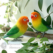 Куклы и игрушки handmade. Livemaster - original item Lovebirds parrots, interior composition of wool felted parrots. Handmade.
