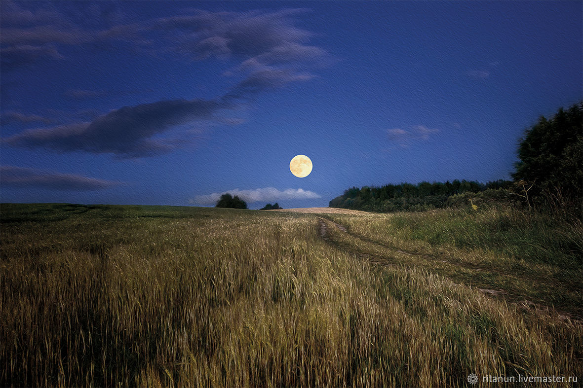 Картины: Волшебная ночь купить в интернет-магазине Ярмарка Мастеров по ...