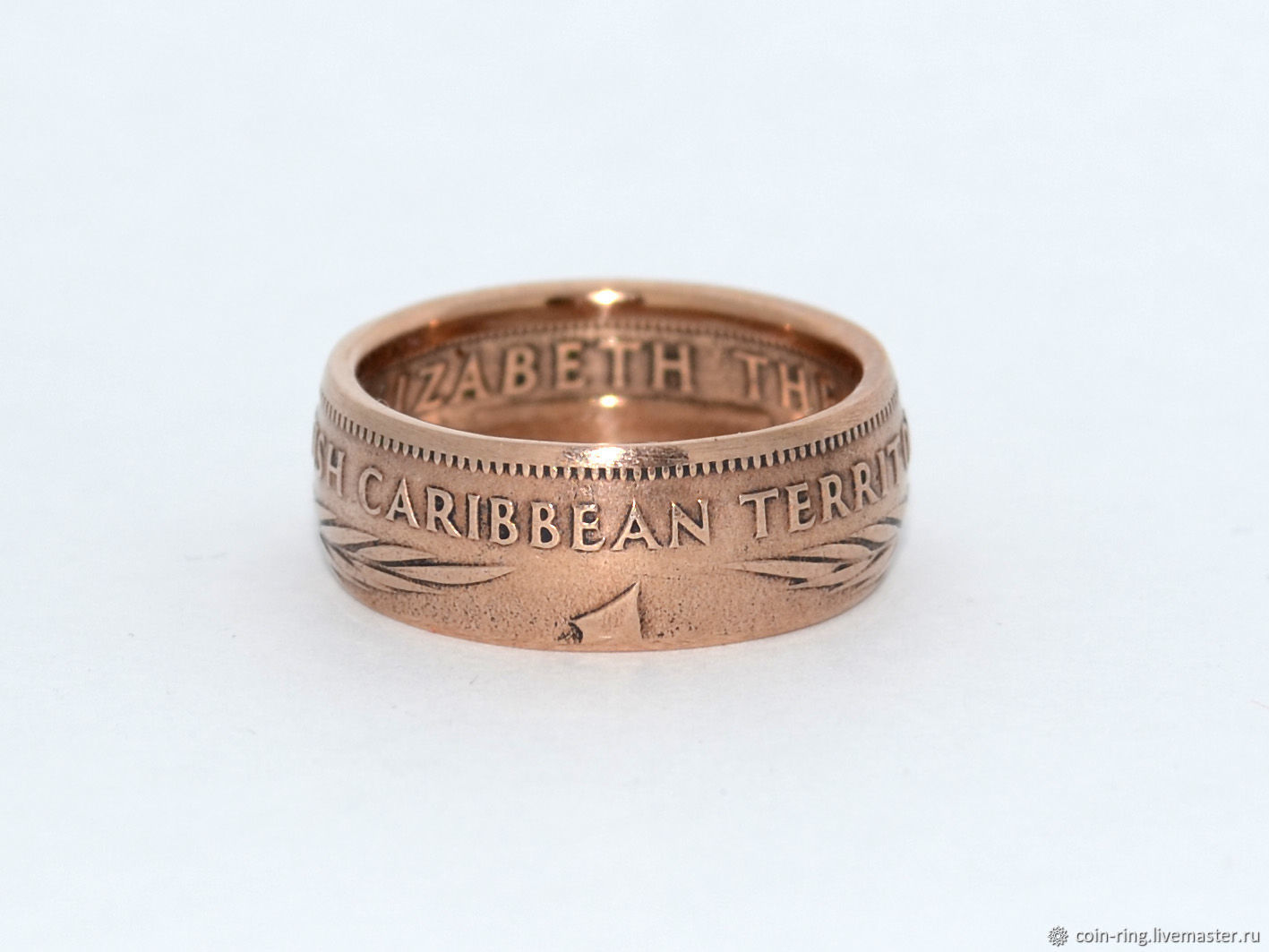 Бронзовое кольцо история жизни обычной семьи 50. Бронзовая кольцо Рено Медлум.