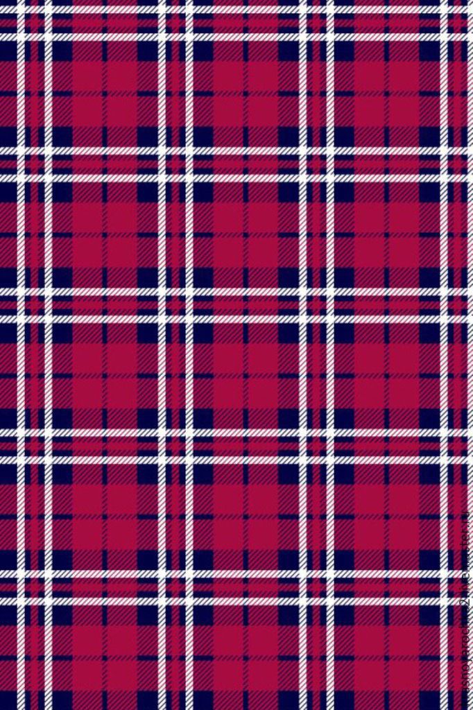 красно синюю клетку. красно синюю клетку.