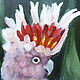 Order Pink Cockatoo Oil Painting 30 x 40cm Birds Australia Parrot. Viktorianka. Livemaster. . Pictures Фото №3