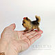 Mini toys: Yorkshire Terrier, Fun, Ekaterinburg,  Фото №1