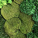 Стабилизированный мох кочка бархатная (0,5 кг) от производителя. Стабилизированный мох. Антонина Литовкина - Озеленение (Планета Флористики). Ярмарка Мастеров.  Фото №5
