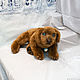 Labrador puppy chocolate. Stuffed Toys. Dilara. Online shopping on My Livemaster.  Фото №2