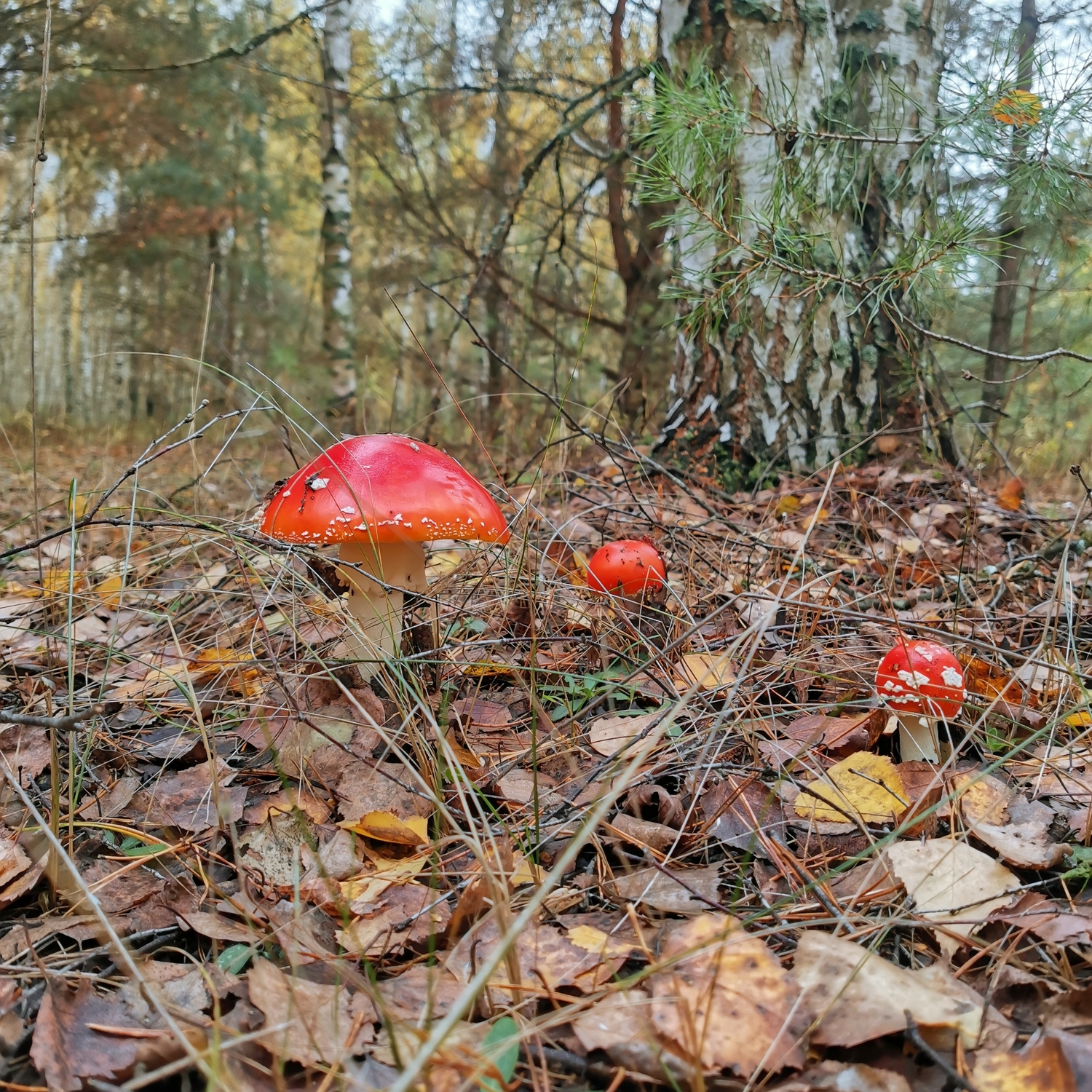Мой профиль