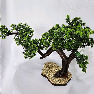 Silver Birch Bonsai | Бонсай, Берёза повислая, Бонсай растения