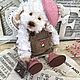 Мишки тедди. Собачка тедди Мишель. Мишки Тедди. Мишки тедди ручной работы Елены Леоновой.. Ярмарка Мастеров.  Фото №4