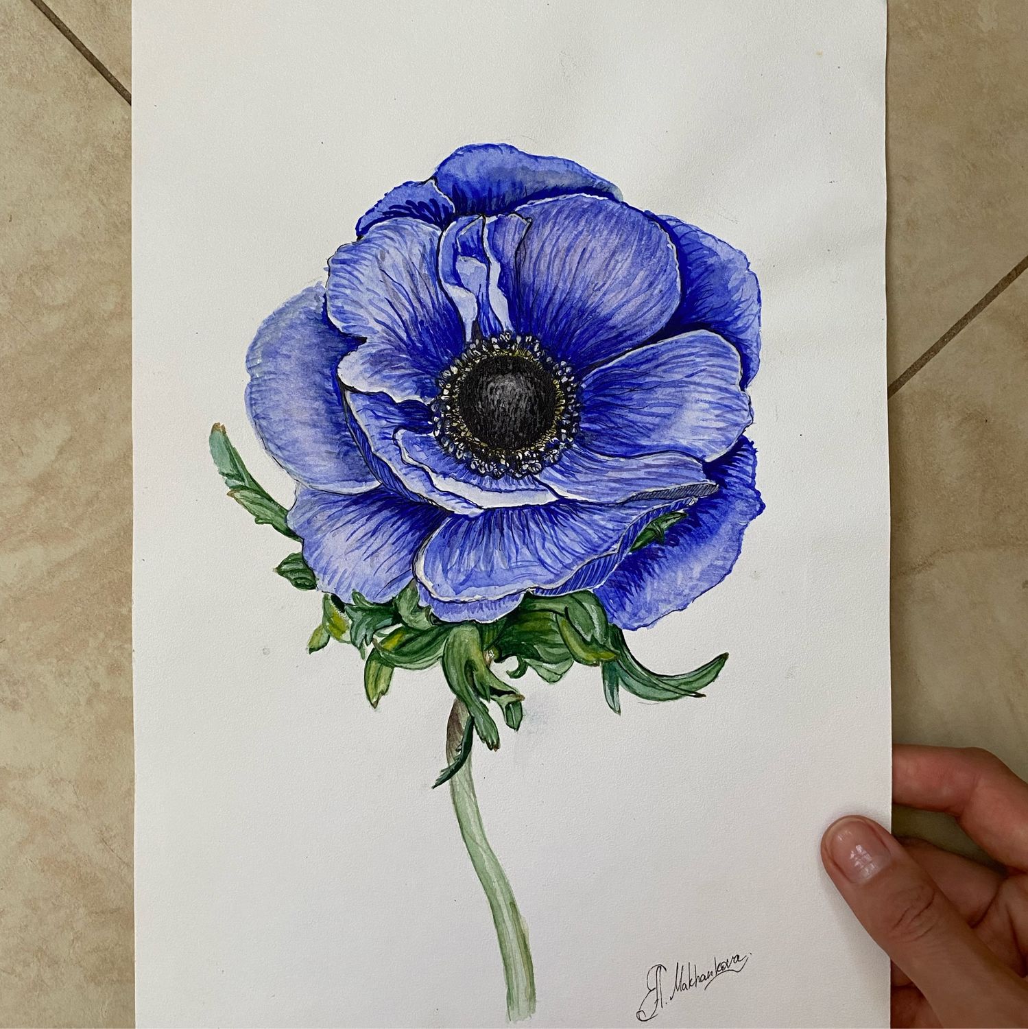 Картина синий анемон акварелью в интернет-магазине Ярмарка Мастеров по ...