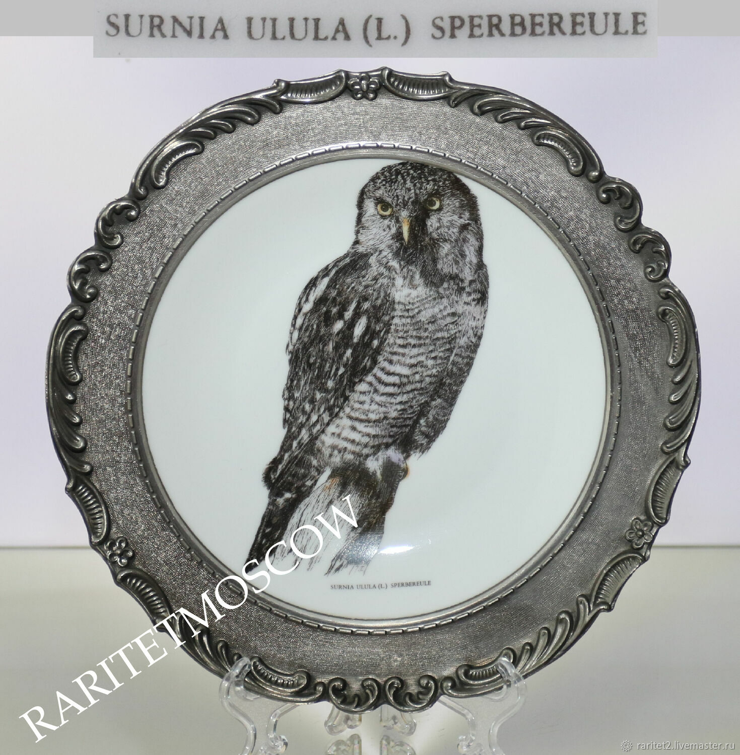 Винтаж: Ястребиная сова тарелка панно птица охота олово фарфор 23см  Германия 1 купить в интернет-магазине Ярмарка Мастеров по цене 6000 ₽ –  REKYIRU | Тарелки декоративные винтажные, Москва - доставка по России