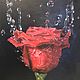 Красная Роза в брызгах воды. Подарки на 14 февраля. Елизавета Вершинина. Интернет-магазин Ярмарка Мастеров.  Фото №2