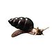The Snail is Black. II collection, Figurines, Ekaterinburg,  Фото №1