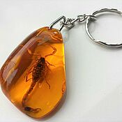 Сумки и аксессуары handmade. Livemaster - original item Scorpion in resin under amber keychain for keys, bag, pendant to choose from. Handmade.