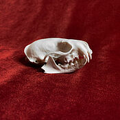 Фен-шуй и эзотерика handmade. Livemaster - original item Skull mink. Handmade.