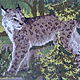 The embroidered picture "Lynx in the Wood"