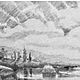 Графика. карандашный рисунок "Коза Люська, на прогулке". Картины. Любовь Левина. Ярмарка Мастеров.  Фото №5