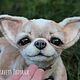 Realistic Chihuahua Chip Toy. Stuffed Toys. KravetsTatyana. Online shopping on My Livemaster.  Фото №2