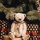 Мишка Тедди компаньон в рюкзачок. Мишки Тедди. Ирина (Family bear). Интернет-магазин Ярмарка Мастеров.  Фото №2