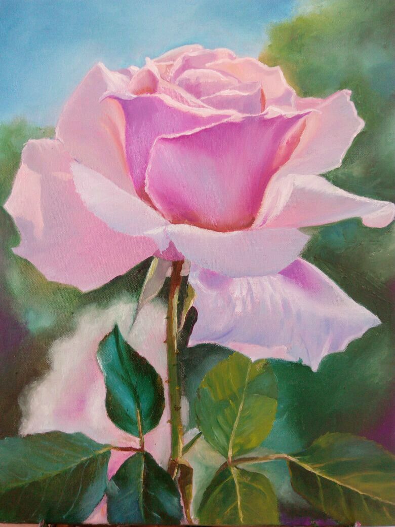 Розочка маслом. Розы живопись. Картина "розы". Крупные цветы живопись. Розы маслом на холсте.