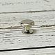 Винт ременной ZMP010 никель, Фурнитура для сумок, Ейск,  Фото №1
