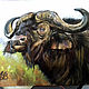  Buffalo (Bull). Print from the author's work. Pictures. Valeria Akulova ART. My Livemaster. Фото №4