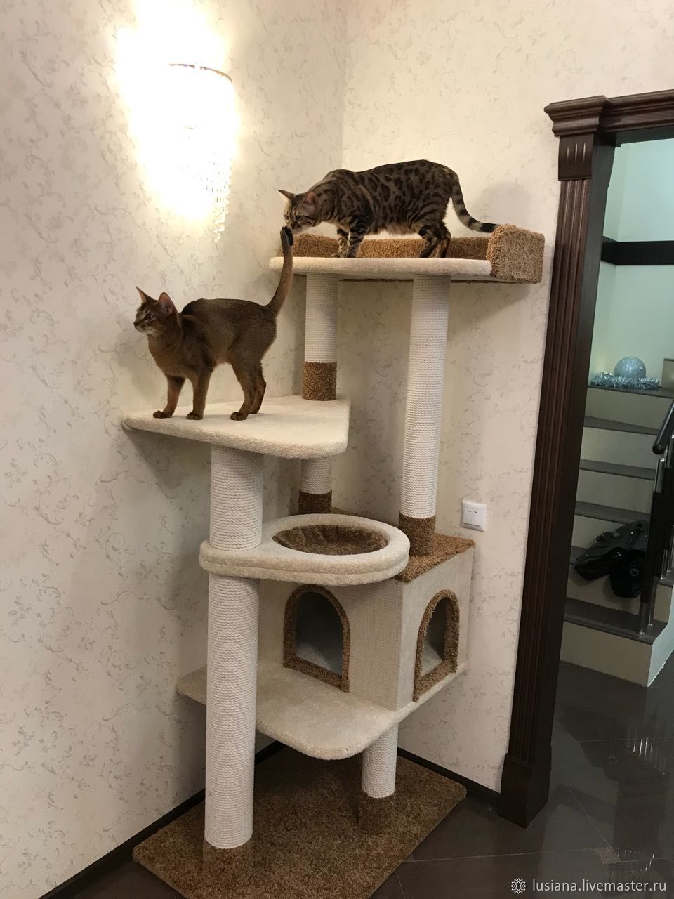 большие домики для кошек