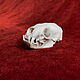 Skull mink. Ritual attributes. lakotastore. My Livemaster. Фото №4