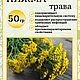 Пижма Алеевские травы, Цветы сухие и стабилизированные, Волгореченск,  Фото №1