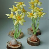 Сувениры и подарки handmade. Livemaster - original item Gifts for March 8: Miniature daffodils made of cold porcelain. Handmade.
