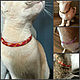 collar, Dog - Collars, Novosibirsk,  Фото №1