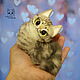 Американская короткошерстная кошка, Тедди Зверята, Красноярск,  Фото №1