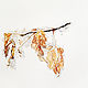 Frosty morning, watercolor. Pictures. Belasla. Online shopping on My Livemaster.  Фото №2