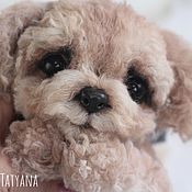 Куклы и игрушки handmade. Livemaster - original item Soft toys: Realistic Maltipu Puppy Toy.. Handmade.