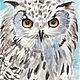 Long-eared owl, Pictures, Ikryanoe,  Фото №1