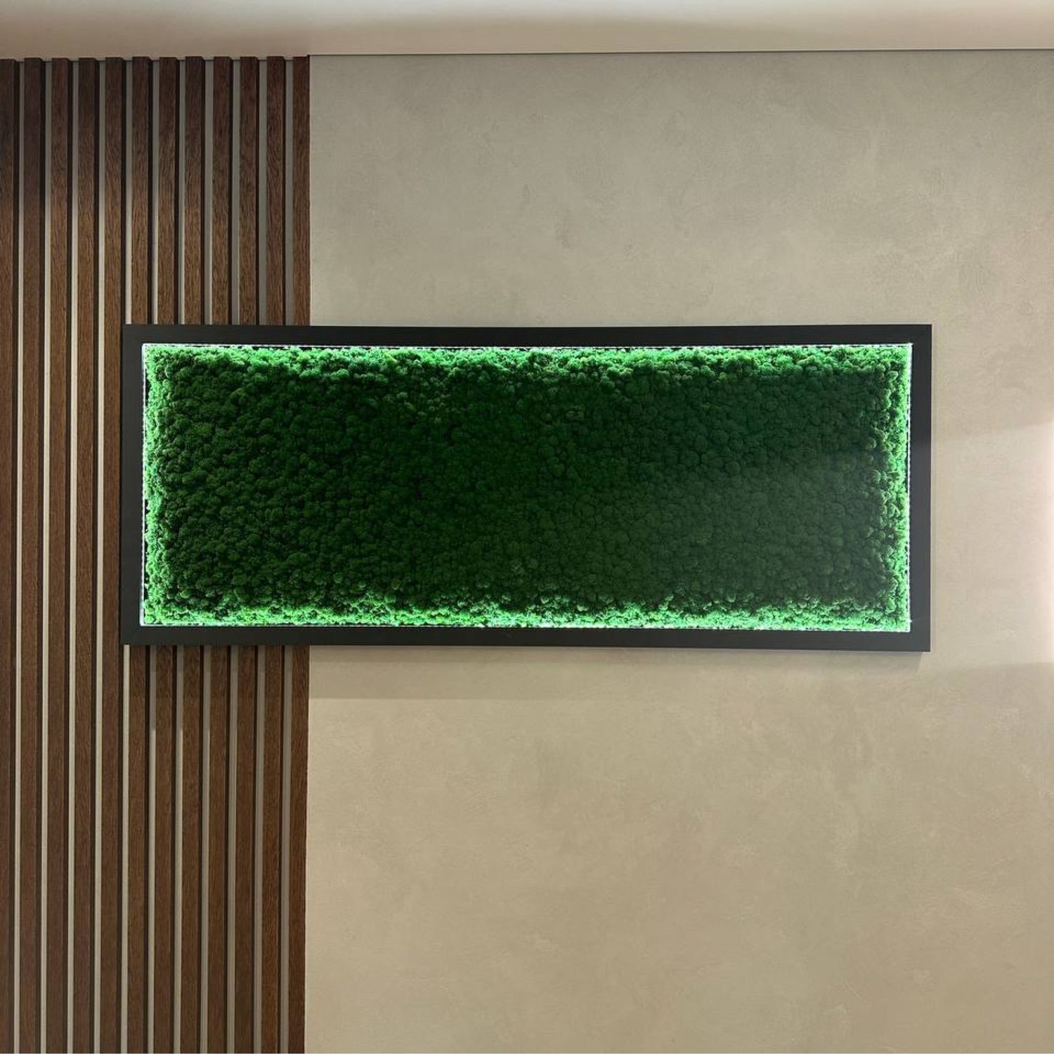 Панно из стабилизированного мха с подсветкой в интернет-магазине ...