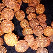Материалы для творчества handmade. Livemaster - original item Rudraksha is the fruit the Indian nut. Handmade.